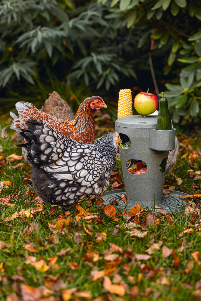 Torre Snacks / Comida Gallinas 100 % Reciclado - imagen 9