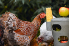 Torre Snacks / Comida Gallinas 100 % Reciclado - imagen 8