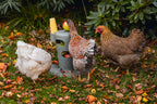 Torre Snacks / Comida Gallinas 100 % Reciclado - imagen 7