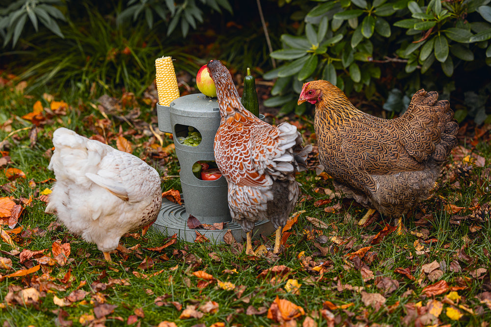 Torre Snacks / Comida Gallinas 100 % Reciclado - imagen 7