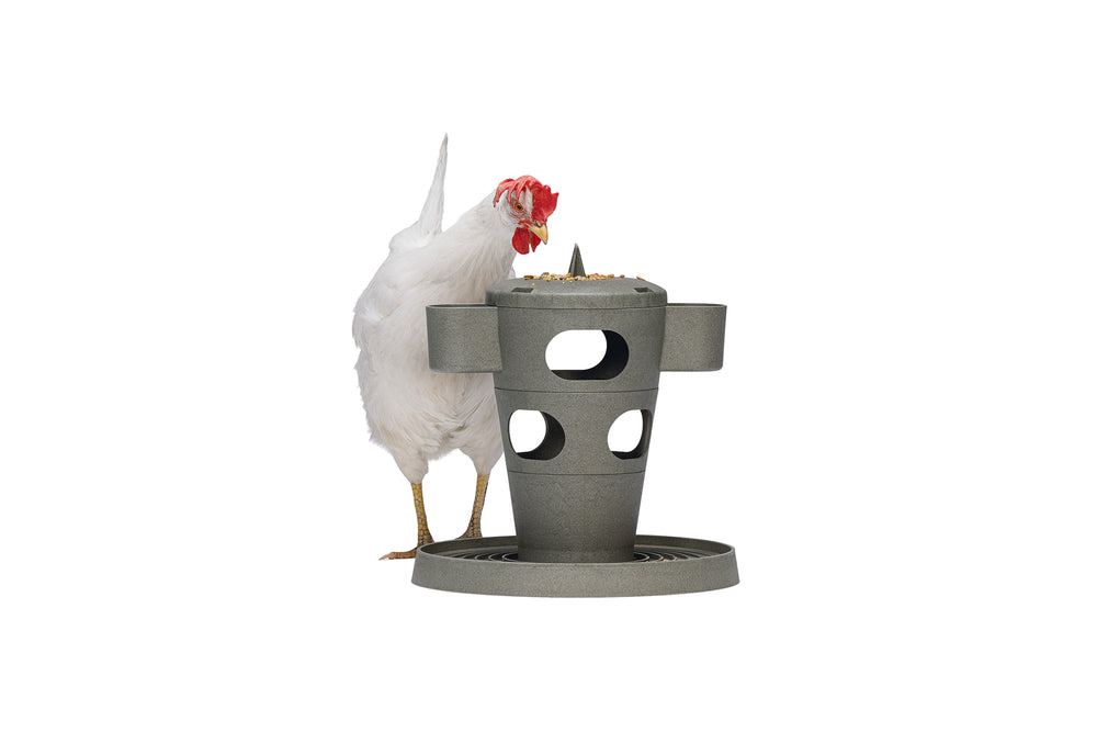 Torre Snacks / Comida Gallinas 100 % Reciclado - imagen 1