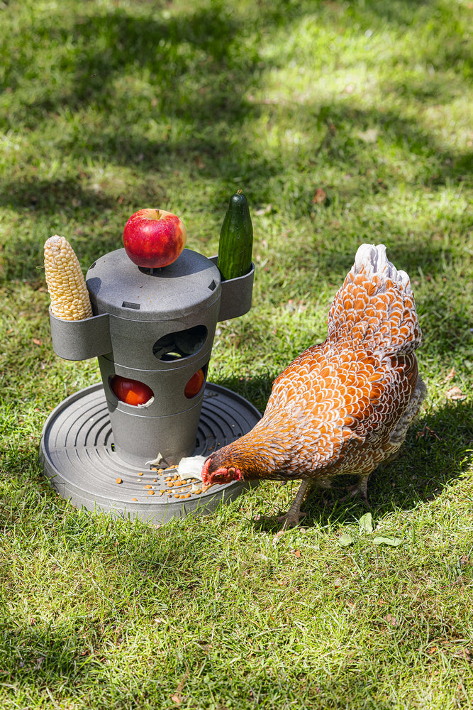 Torre Snacks / Comida Gallinas 100 % Reciclado - imagen 12