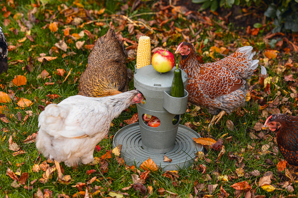 Torre Snacks / Comida Gallinas 100 % Reciclado - imagen 10