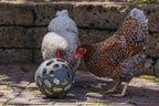 Pelota Snacks Gallinas 100 % Reciclado - imagen 15