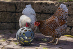 Pelota Snacks Gallinas 100 % Reciclado - imagen 4