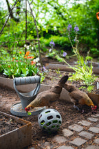 Pelota Snacks Gallinas 100 % Reciclado - imagen 8