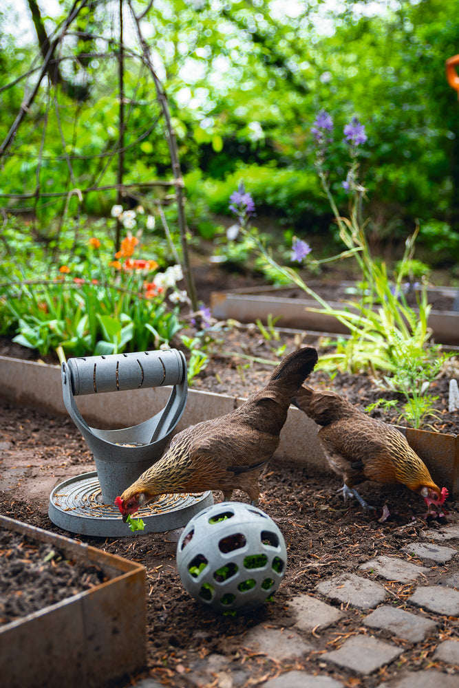 Pelota Snacks Gallinas 100 % Reciclado - imagen 8