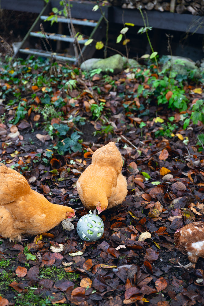 Pelota Snacks Gallinas 100 % Reciclado - imagen 11