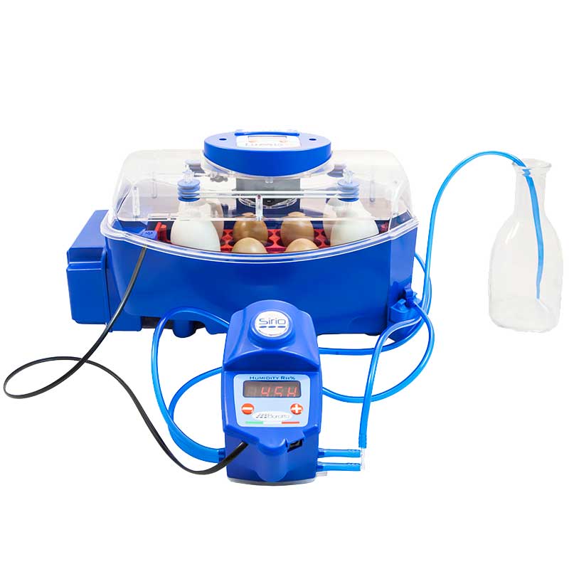 Incubadoras y nacedoras Lumia - capacidad 8 huevos, tipo Con humidificador - referencia 30146 - Copele