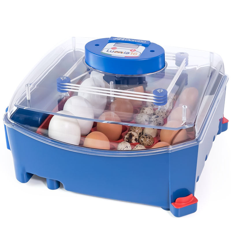 Incubadoras y nacedoras Lumia - capacidad 16 huevos, tipo Sin humidificador - referencia 30788 - Copele